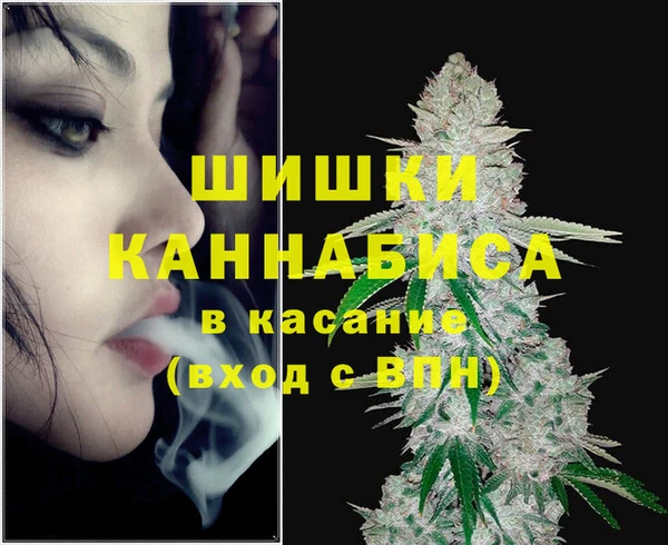 соль ск Алзамай