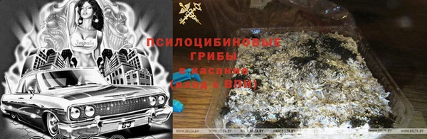 сатива Алексин