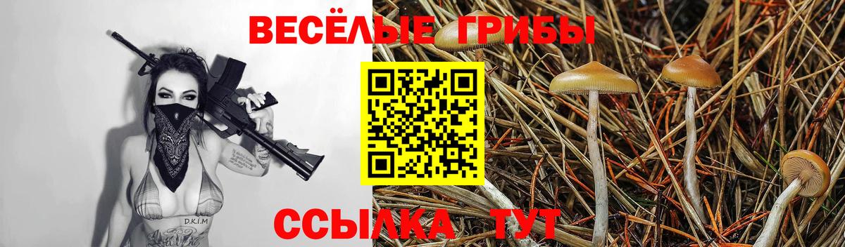 Псилоцибиновые грибы MAGIC MUSHROOMS  Вход с VPN  Псилоцибиновые грибы GOLDEN TEACHER  Биробиджан 